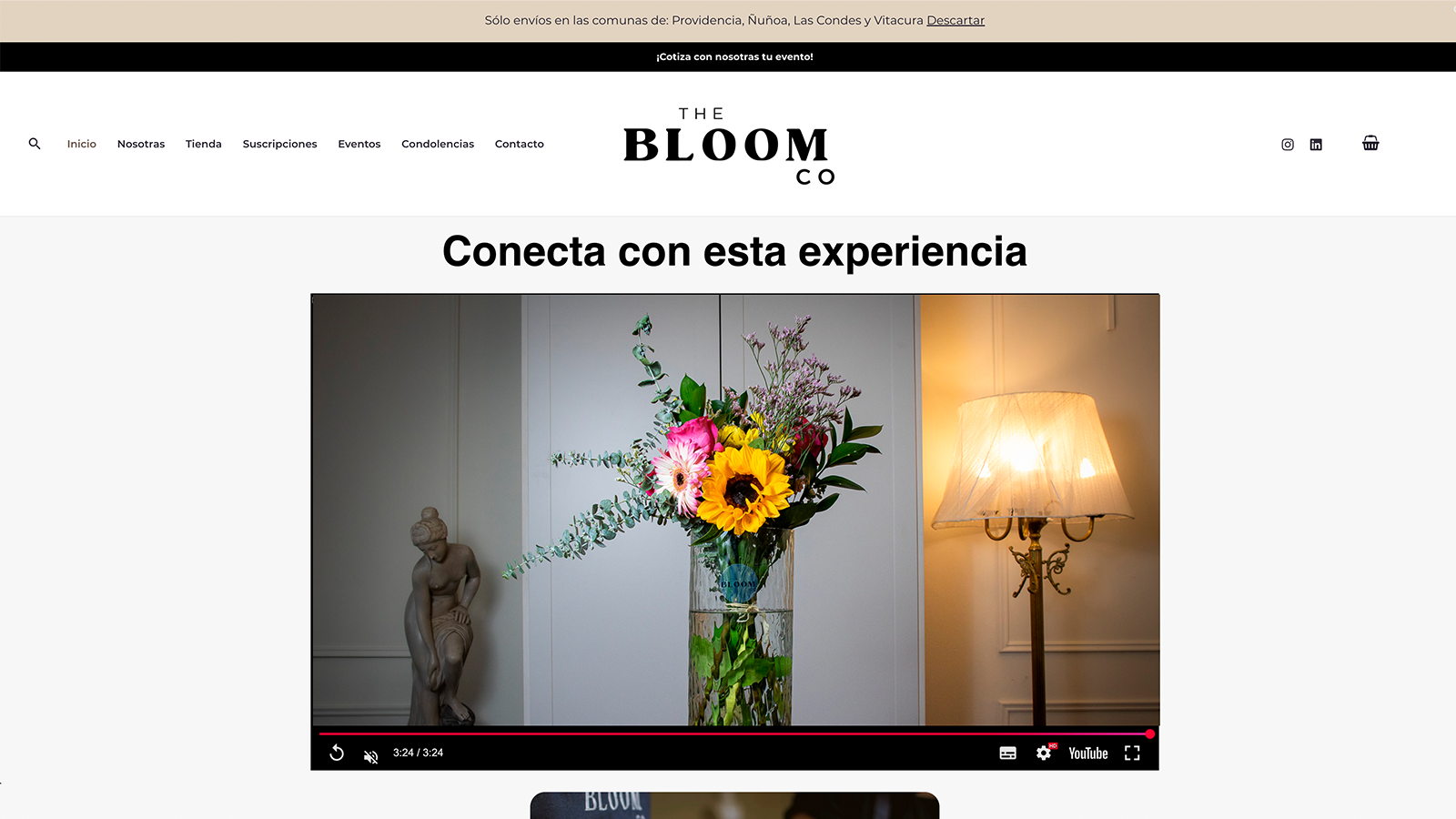 E-commerce para The Bloom Co